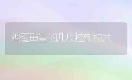 鸡蛋重量的几项控制技术 | 家禽养殖