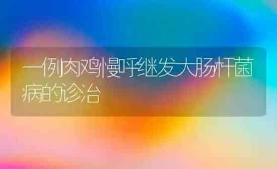 一例肉鸡慢呼继发大肠杆菌病的诊治 | 家禽养殖