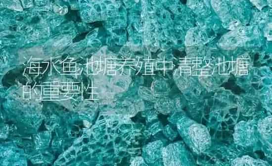海水鱼池塘养殖中清整池塘的重要性 | 海水养殖
