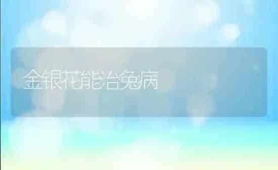 金银花能治兔病 | 家畜养殖