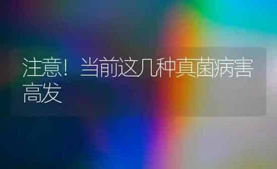 雏鹅痛风“三步五防”更有效 | 家禽养殖