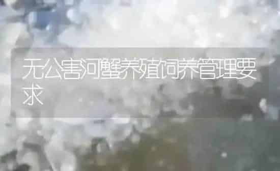 无公害河蟹养殖饲养管理要求 | 淡水养殖