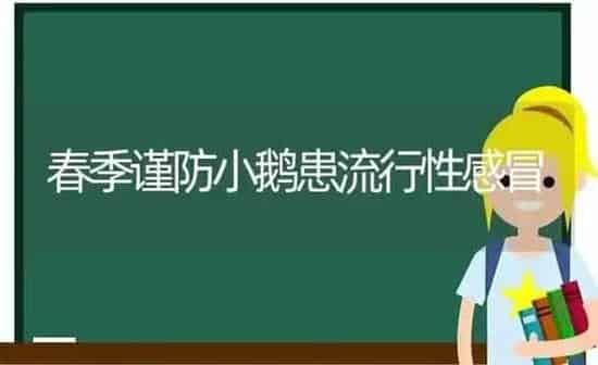 春季谨防小鹅患流行性感冒 | 家禽养殖