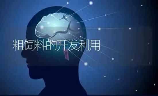 粗饲料的开发利用 | 动物养殖饲料