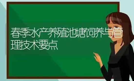 春季水产养殖池塘饲养与管理技术要点 | 动物养殖百科