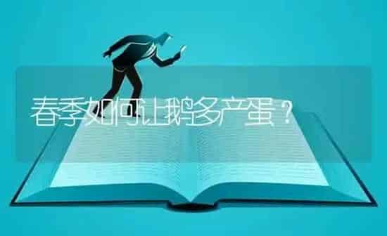 春季如何让鹅多产蛋？ | 家禽养殖