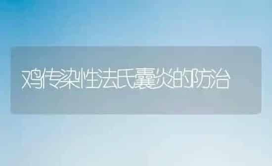 鸡传染性法氏囊炎的防治 | 家禽养殖