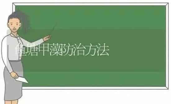 鱼塘甲藻防治方法 | 淡水养殖