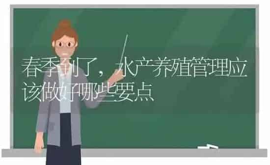 春季到了,水产养殖管理应该做好哪些要点 | 动物养殖百科