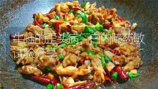 牛蛙的歪头病、白内障药敏试验分享 | 养殖病虫害防治