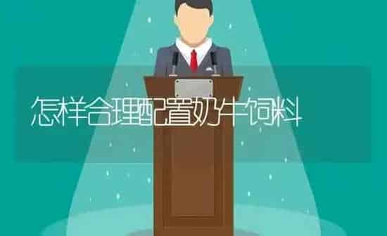 怎样合理配置奶牛饲料 | 动物养殖饲料