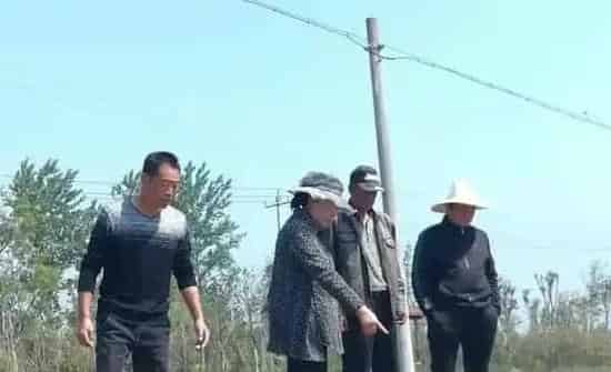 黑斑蛙养殖, 在安徽亳州利辛县张村镇杜竹园村取得成功......