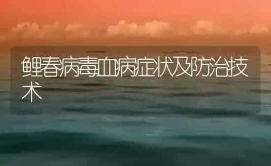 鲤春病毒血病症状及防治技术 | 养殖病虫害防治
