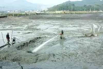 水产养殖池塘底部发黑，该如何处理？