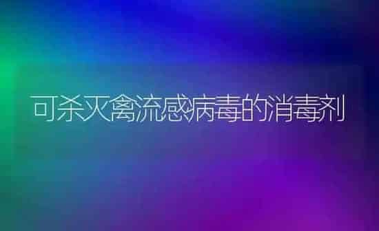 可杀灭禽流感病毒的消毒剂 | 家禽养殖