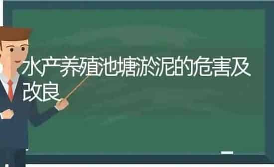 水产养殖池塘淤泥的危害及改良 | 动物养殖百科