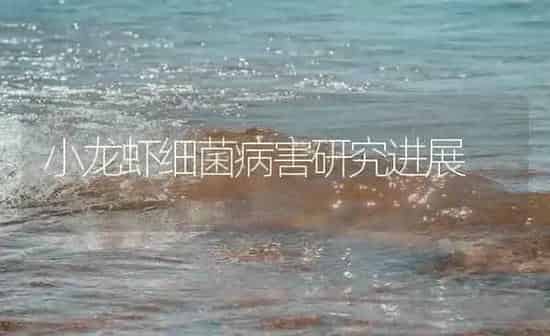 小龙虾细菌病害研究进展 | 海水养殖
