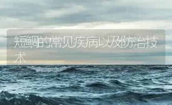 短鲷的常见疾病以及防治技术 | 海水养殖
