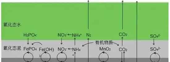 再谈池塘养殖改底之重要性