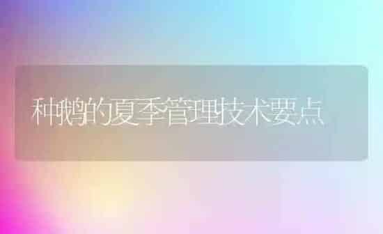 种鹅的夏季管理技术要点 | 家禽养殖