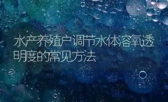 水产养殖户调节水体溶氧透明度的常见方法 | 动物养殖百科
