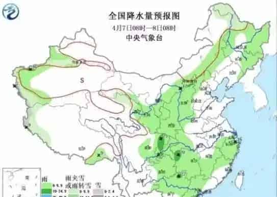 清明时节雨纷纷，小心鱼虾断了魂