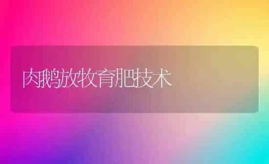 肉鹅放牧育肥技术 | 家禽养殖