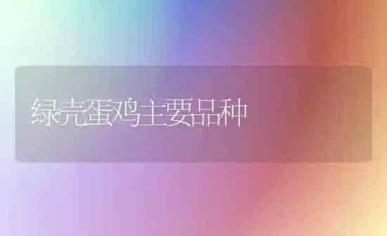 绿壳蛋鸡主要品种 | 家禽养殖