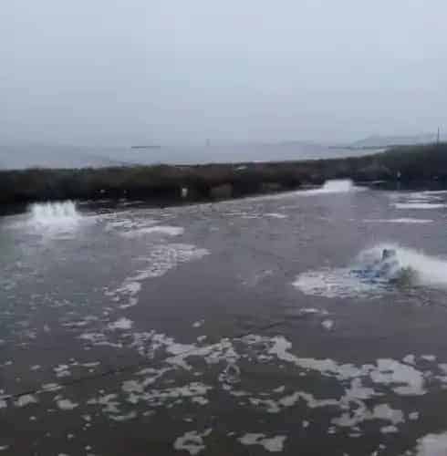 成功的水产养殖之旅应该是从基建开始的