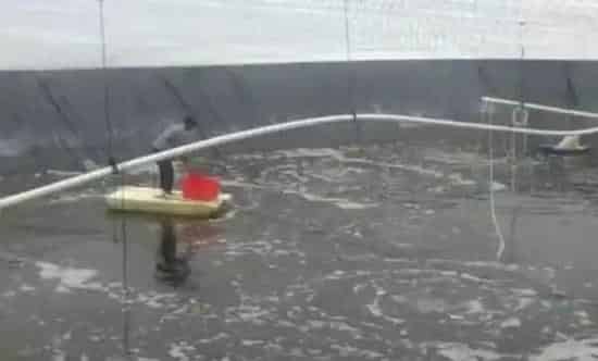 成功的水产养殖之旅应该是从基建开始的