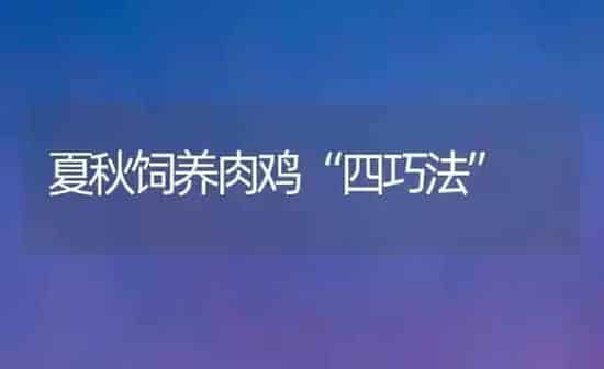 夏秋饲养肉鸡“四巧法” | 家禽养殖