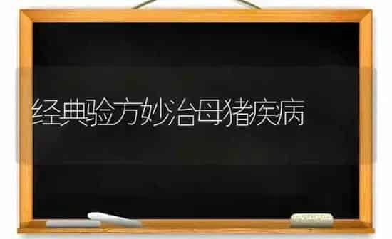 经典验方妙治母猪疾病 | 家畜养殖