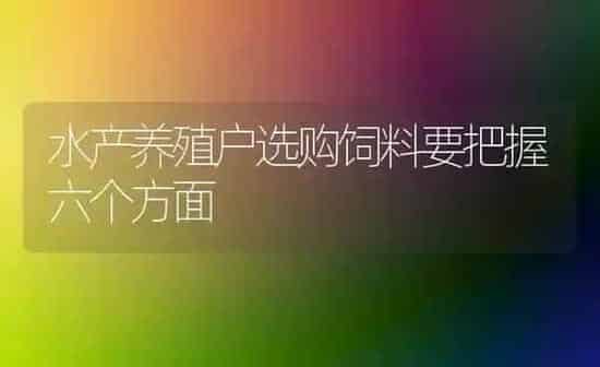 水产养殖户选购饲料要把握六个方面 | 动物养殖饲料