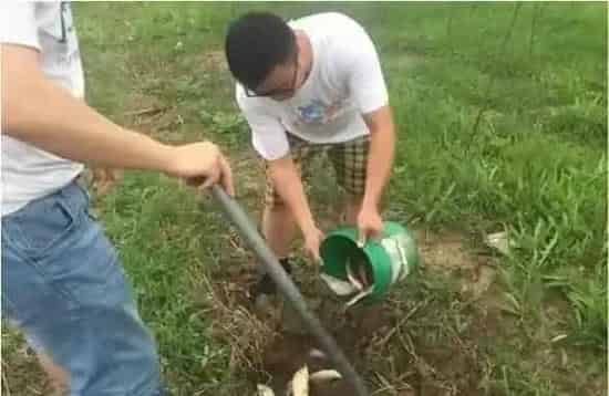 水灾过后，水产养殖户该如何应对？