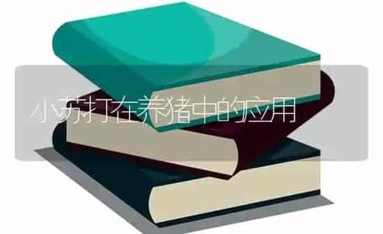 小苏打在养猪中的应用 | 家畜养殖