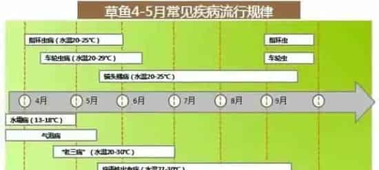 四川地区水产养殖户早肥水早内服早旺食的重要性