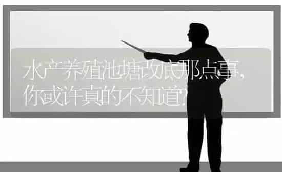 水产养殖池塘改底那点事，你或许真的不知道？ | 动物养殖百科