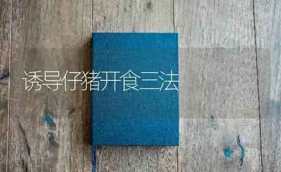 诱导仔猪开食三法 | 家畜养殖