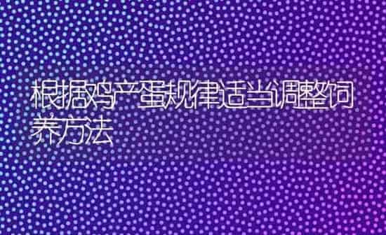 根据鸡产蛋规律适当调整饲养方法 | 家禽养殖