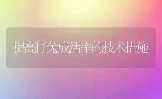 实用养鹅技术 | 家禽养殖