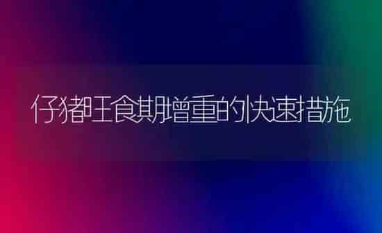 仔猪旺食期增重的快速措施 | 家畜养殖