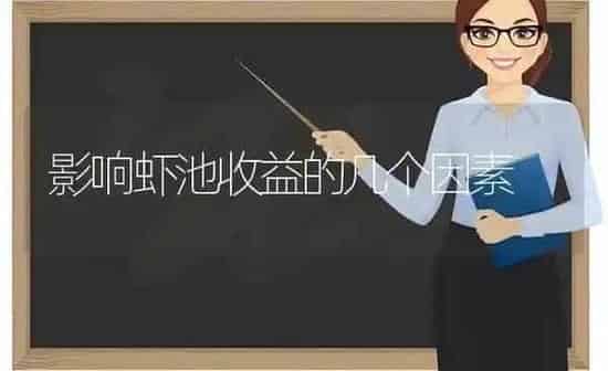 影响虾池收益的几个因素 | 动物养殖百科