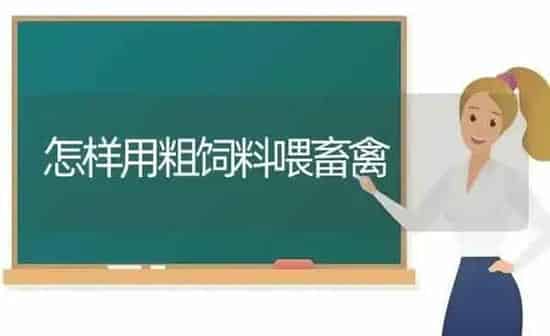 怎样用粗饲料喂畜禽 | 动物养殖饲料