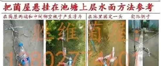 养殖水体常见有那些生物化学反应之沉淀反应和水质的关系
