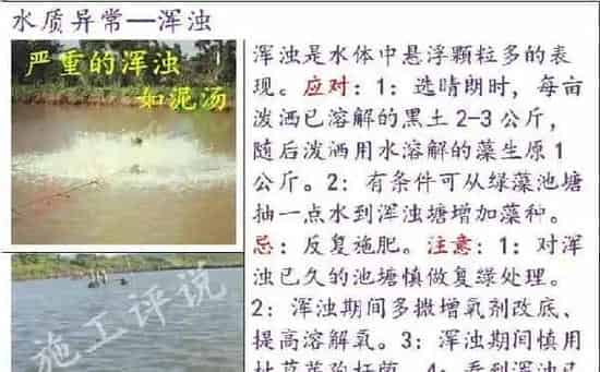 养殖水体常见有那些生物化学反应之沉淀反应和水质的关系