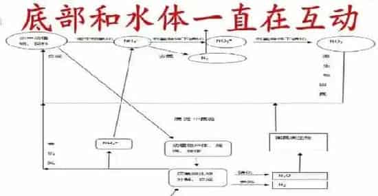 养殖水体常见有那些生物化学反应之沉淀反应和水质的关系