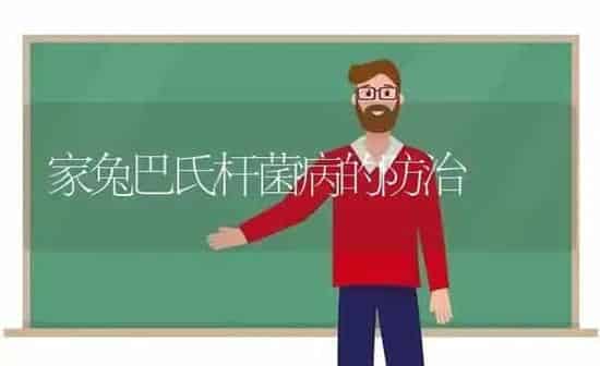家兔巴氏杆菌病的防治 | 家畜养殖