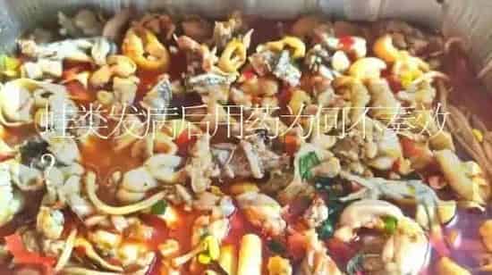 蛙类发病后用药为何不奏效？ | 养殖病虫害防治