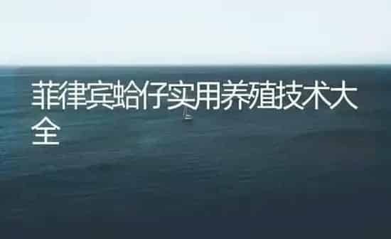 菲律宾蛤仔实用养殖技术大全 | 海水养殖