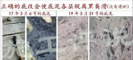 养殖水体常见有那些生物化学反应之沉淀反应和水质的关系